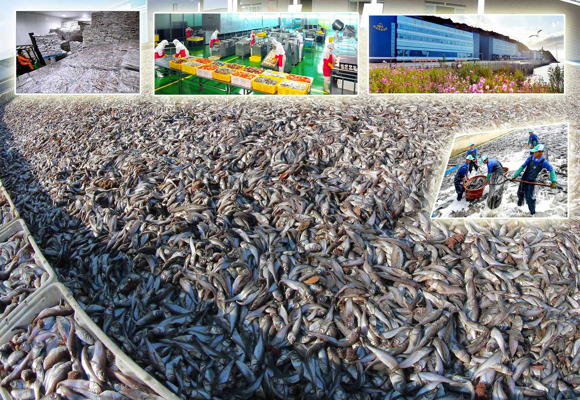 13-자력자강의 창조물 (2)